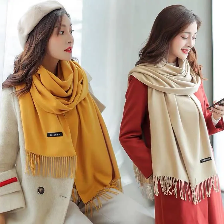 Women Scarf Cashmere Scarves Ladies Shawl Wrap Autumn Winter Pashmina Unisex Scarf